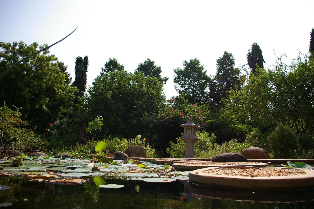 Gaia'S Garden Guest House Auroville Exterior photo